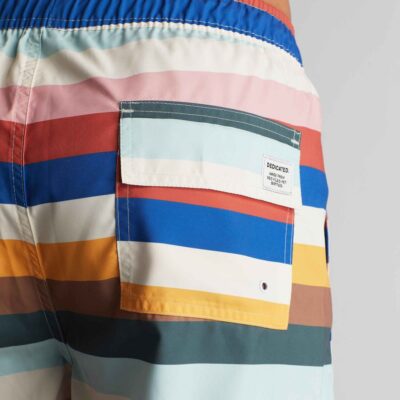 Herr Dedicated Badshorts | Swim Shorts Sandhamn Stripes Multi Color